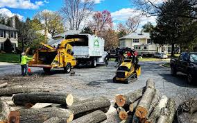 Best Lawn Renovation and Restoration  in Riverside, NY